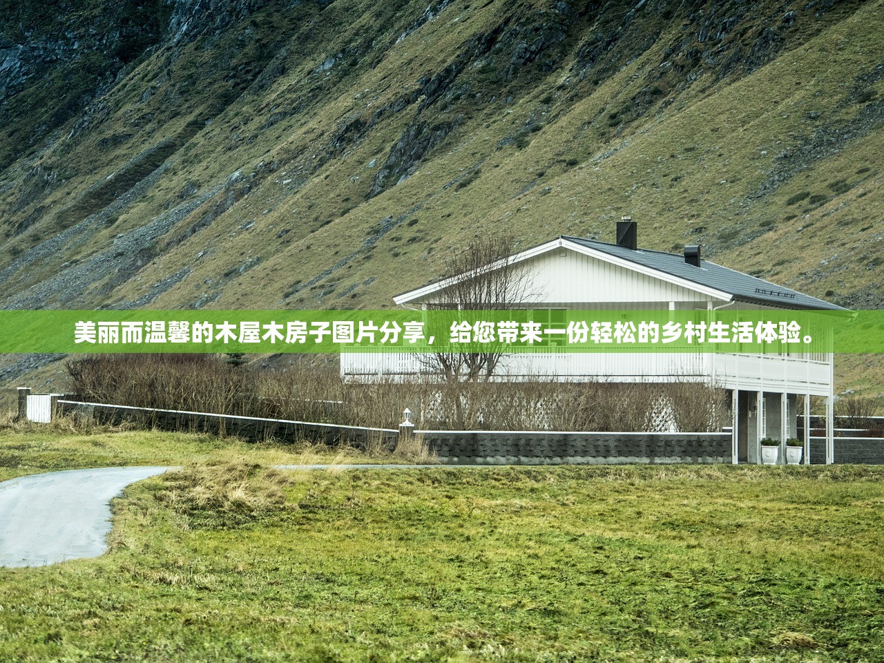 最准一肖一码100%免费|探索生活中的小奇迹_探险型.8.487
