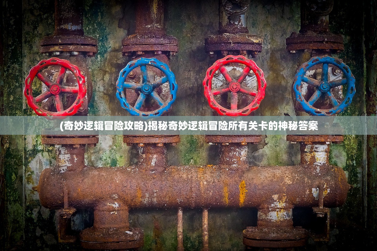 香港内部马料免费资料安卓版|考试释义深度解读与落实_超强款.0.300