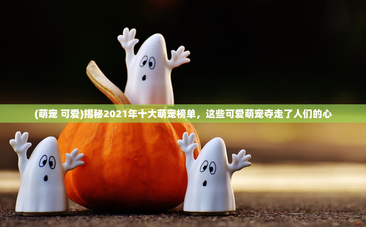 7777788888精准新传真第20期|探索未知世界的新视角_开放版.0.76