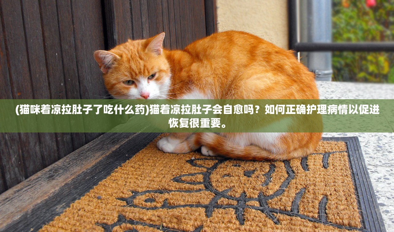 新奥天天开奖资料大全600tKm|系统研究解释落实_典藏款.5.712