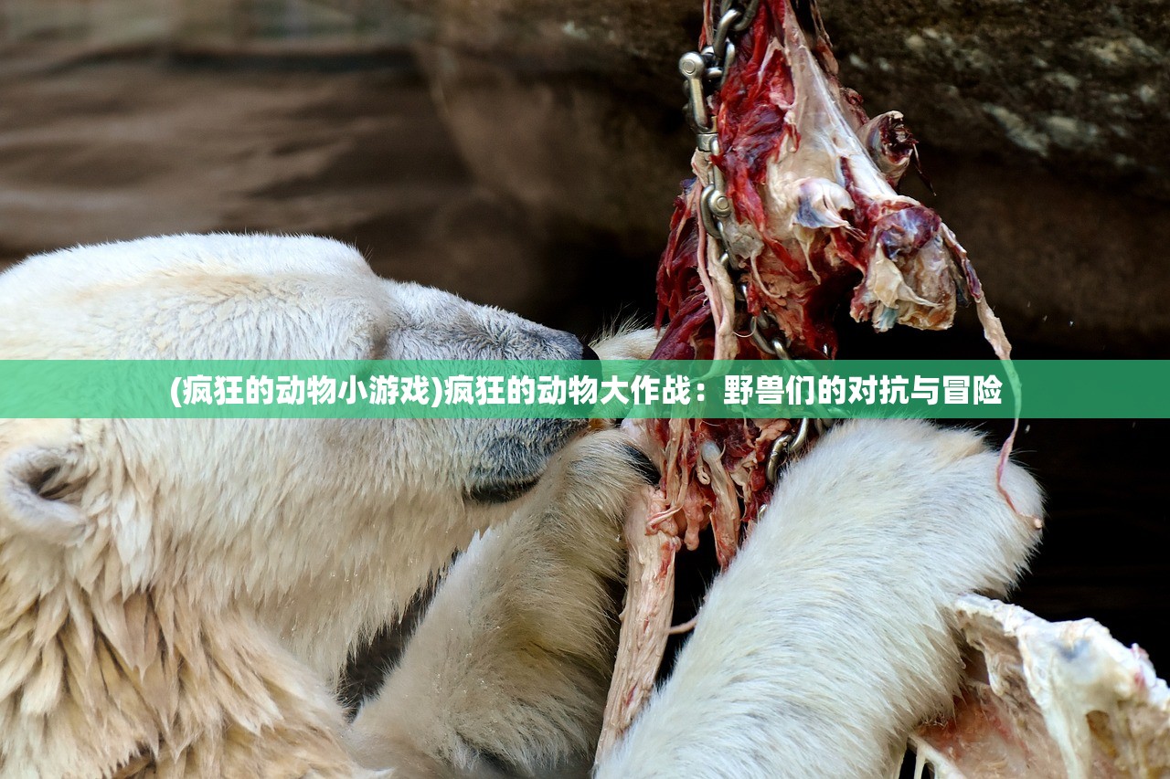 新老澳门正版精准免费大全|探秘未来科技新趋势_NE版.4.95