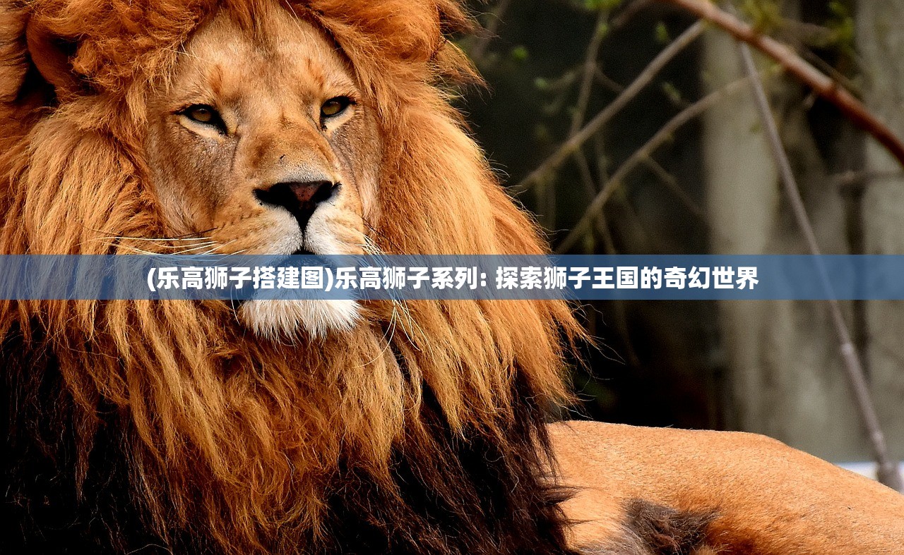 新澳门一码一码100准|实证研究解释落实_PS.9.62