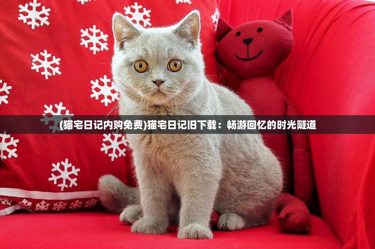 4949澳门特马今晚开奖|探寻幸运密码与生活智慧_专家版.7.780
