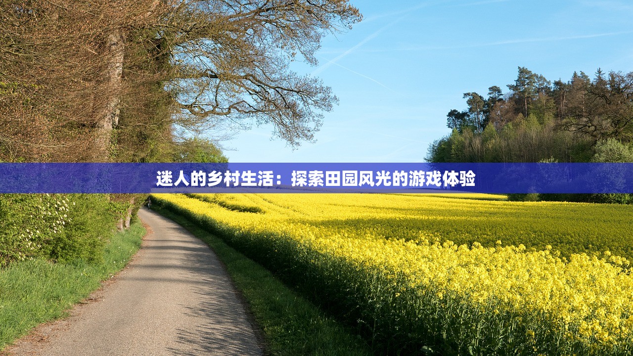 王中王中特网资料大全|专家解答解释落实_定制款.1.76