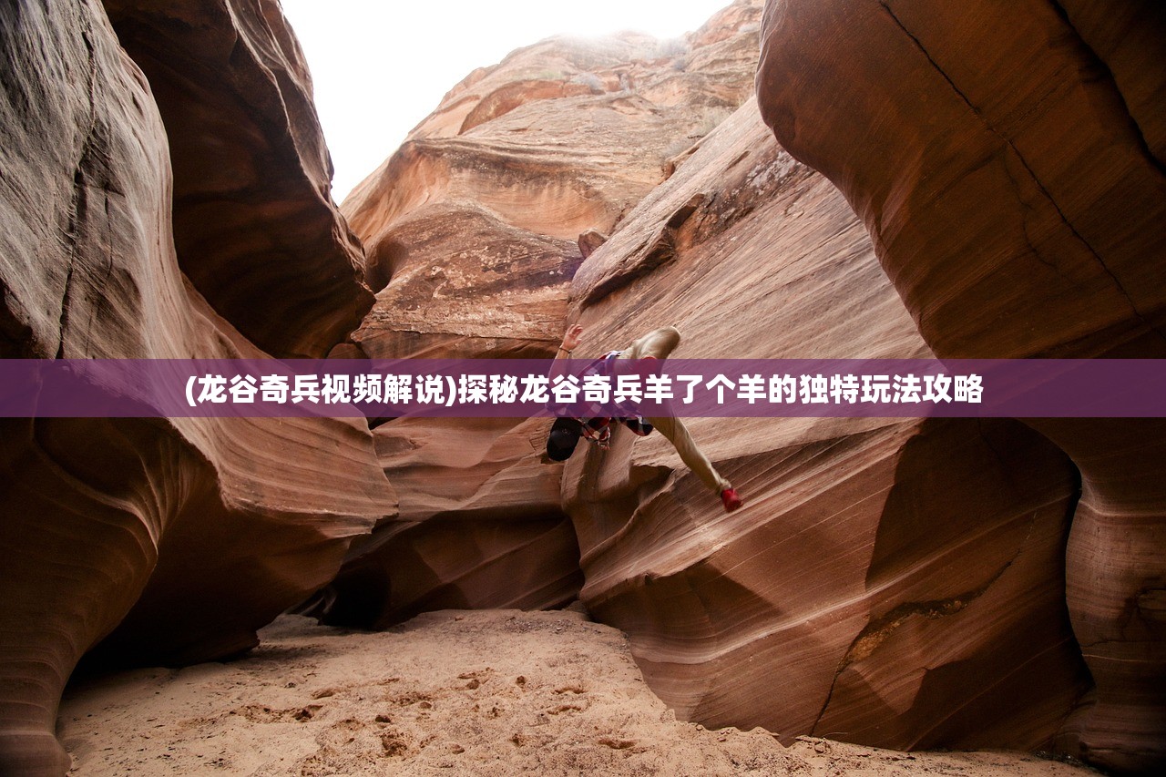 新澳资料最准的网站|快速解答解释落实_精简版IOS.6.502