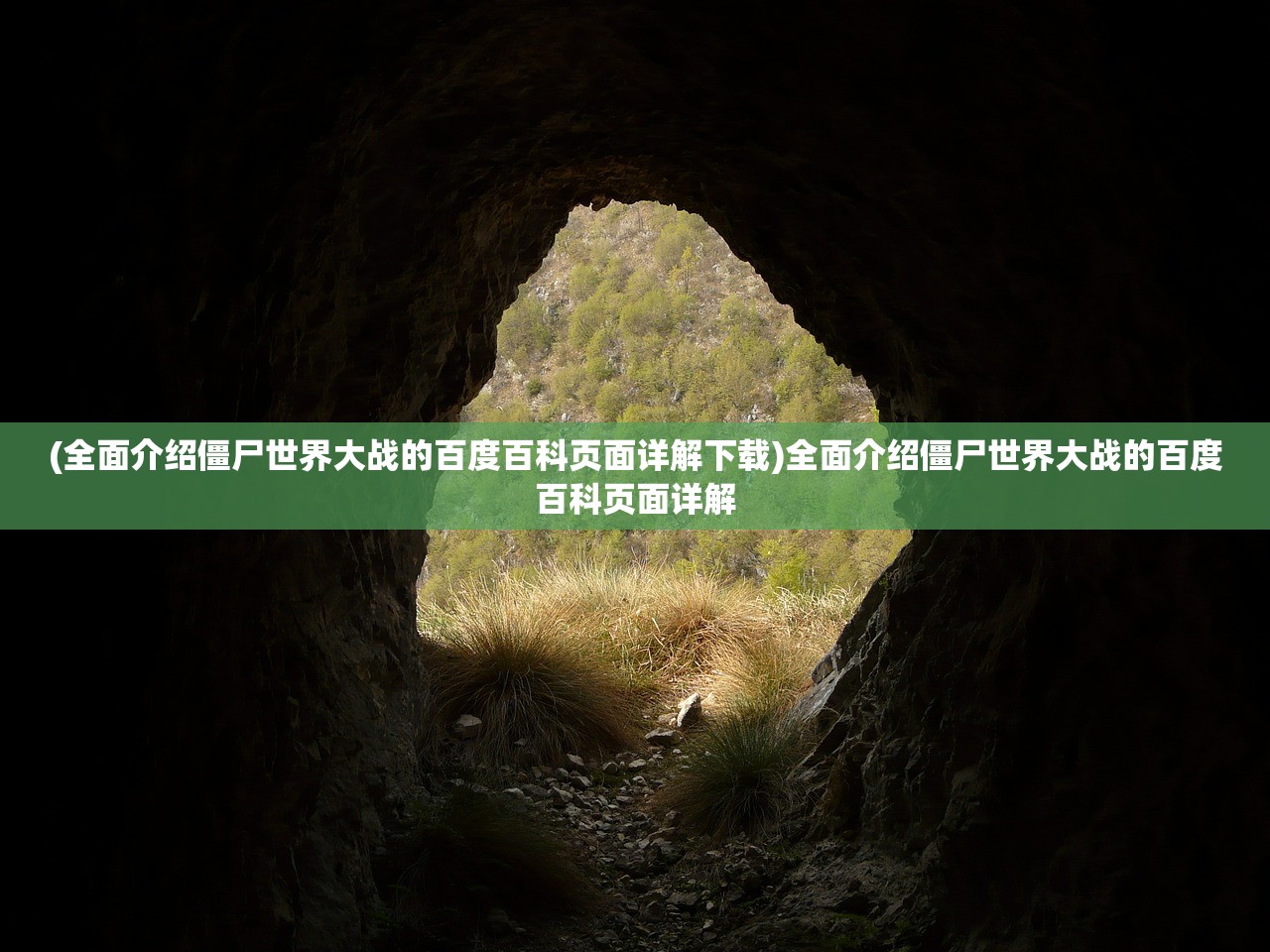 香港免费大全资料大全|专家解答解释落实_维护版.7.377
