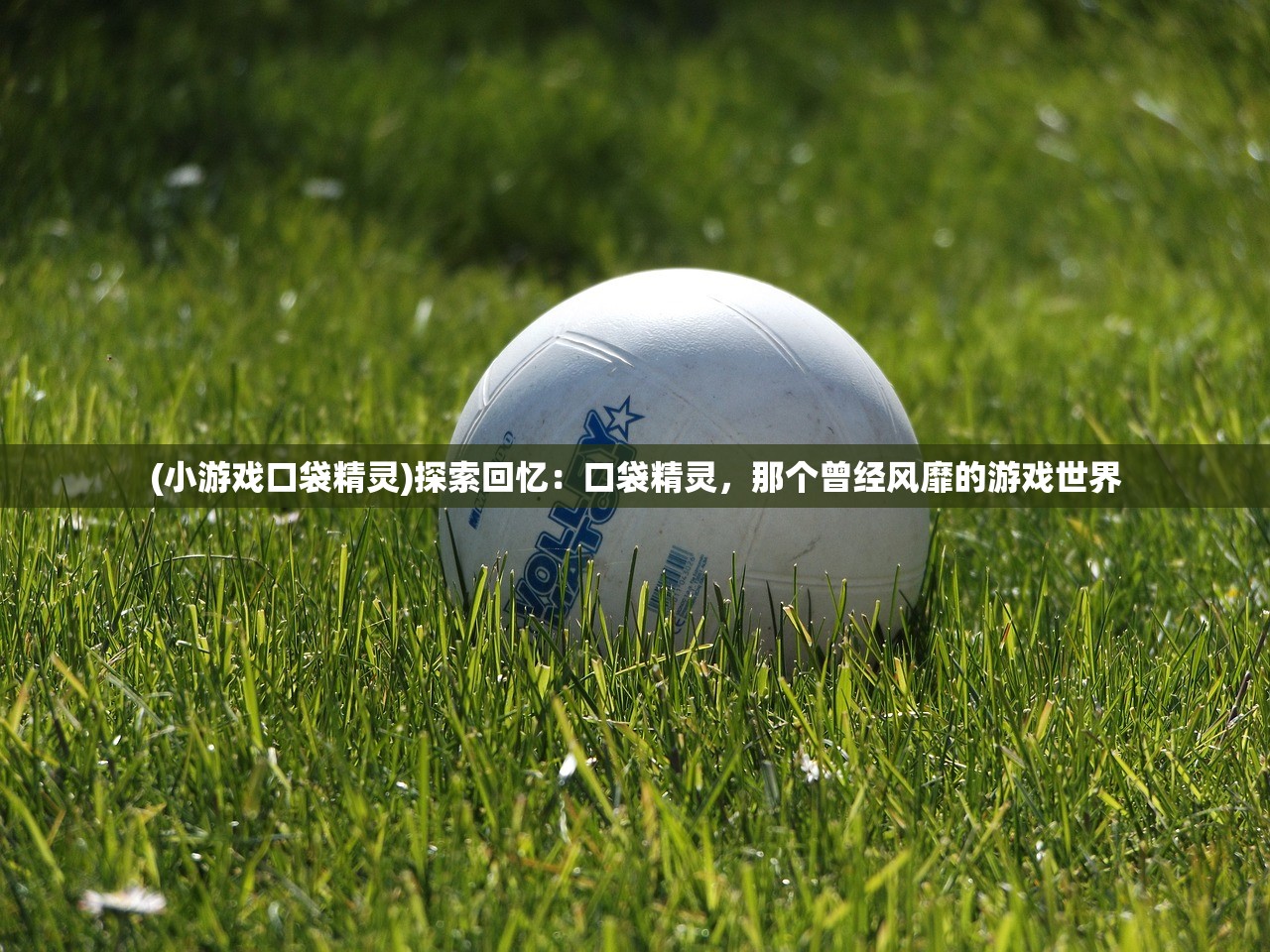 2024澳门天天开好彩大全开奖结果|预测分析解释落实_iShop7.894