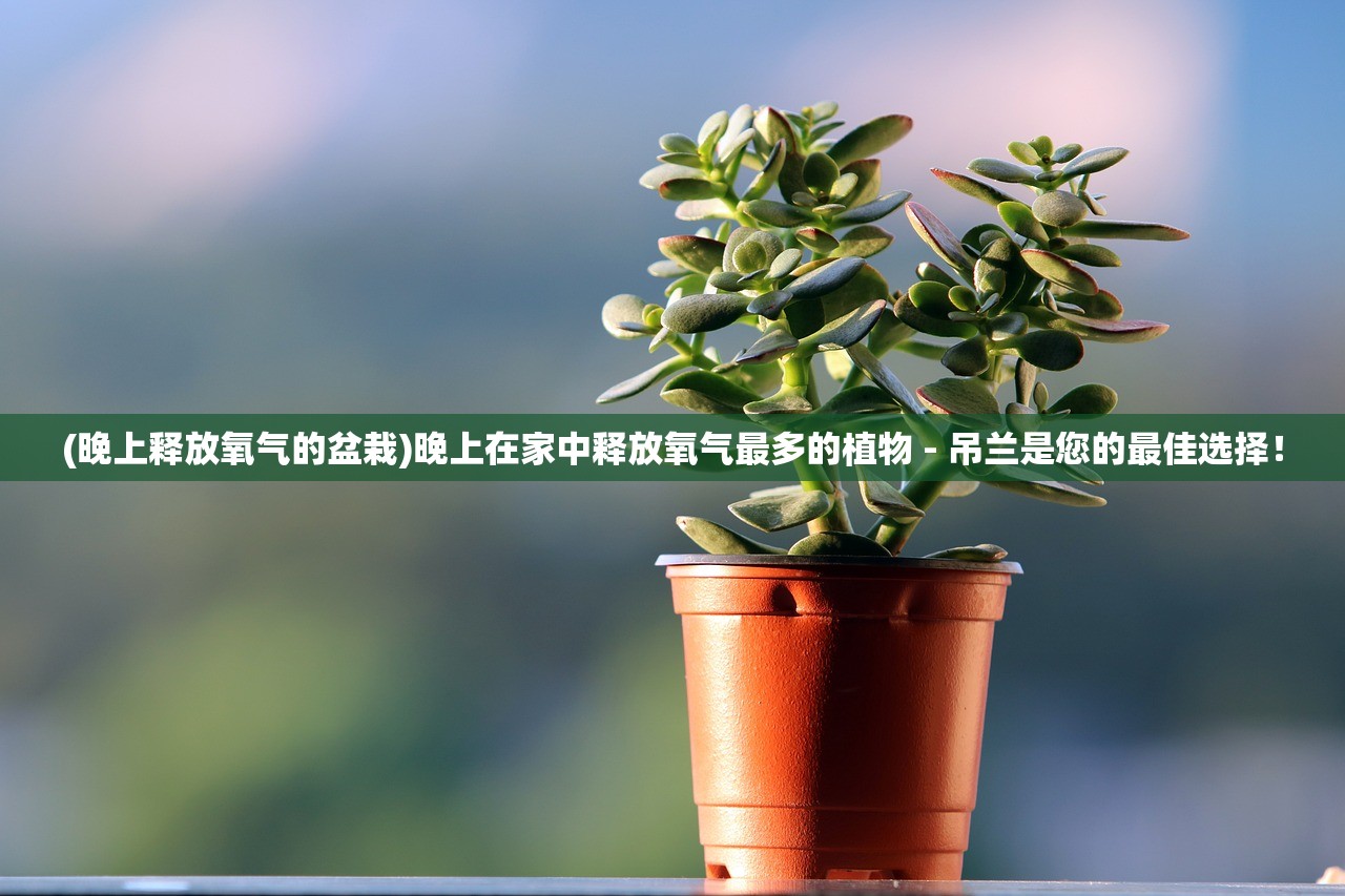 澳门一码一码100准免费|科学分析解释落实_汉化版.7.436