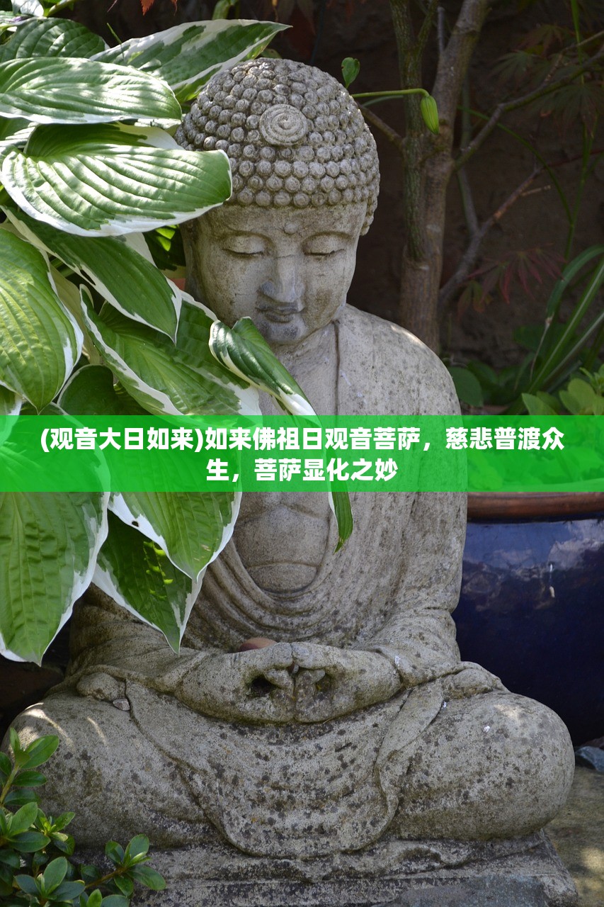 2024年澳门精准正版资料|实践验证解释落实_Lite.1.445
