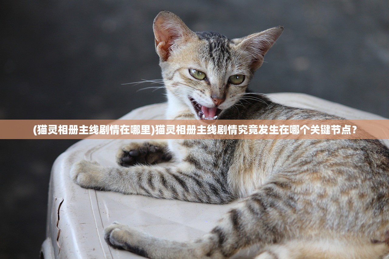2024新澳门今晚开奖结果出来|探索新机遇的未来之路_便民版.5.977