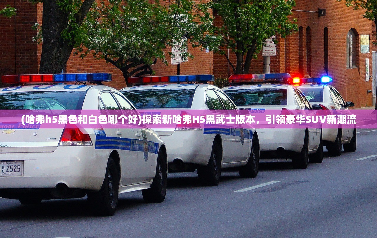 新澳门最新开奖结果查询第30期|经典解答解释落实_潜能集.4.197