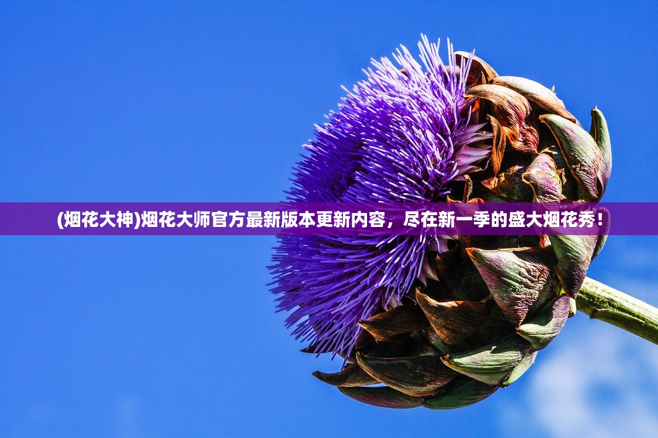 2024澳门开奖结果记录|精选最佳解读方法与实践案例_内测版.5.451