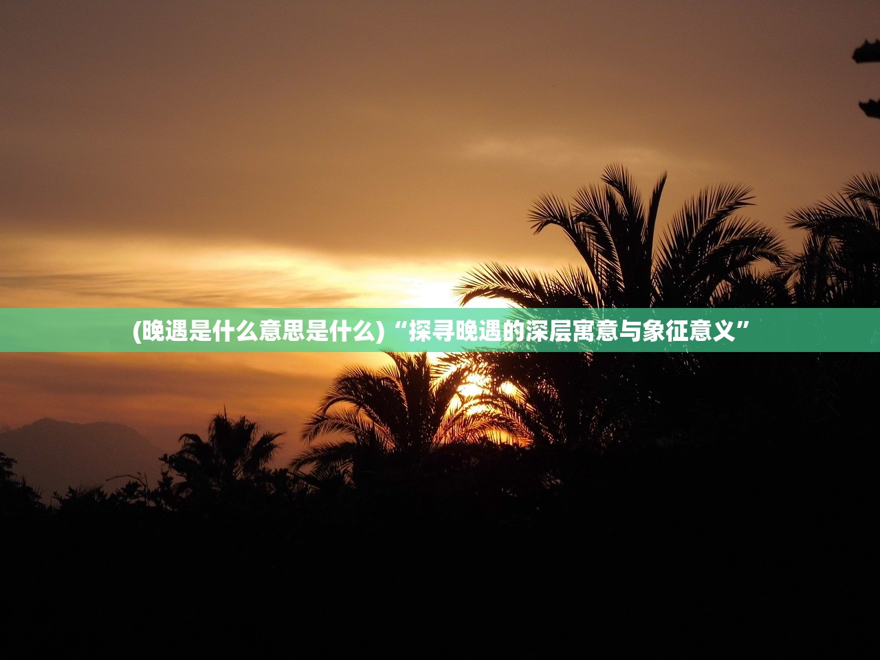 濠江论坛澳门资料2024|机构预测解释落实方法_长期品.3.711