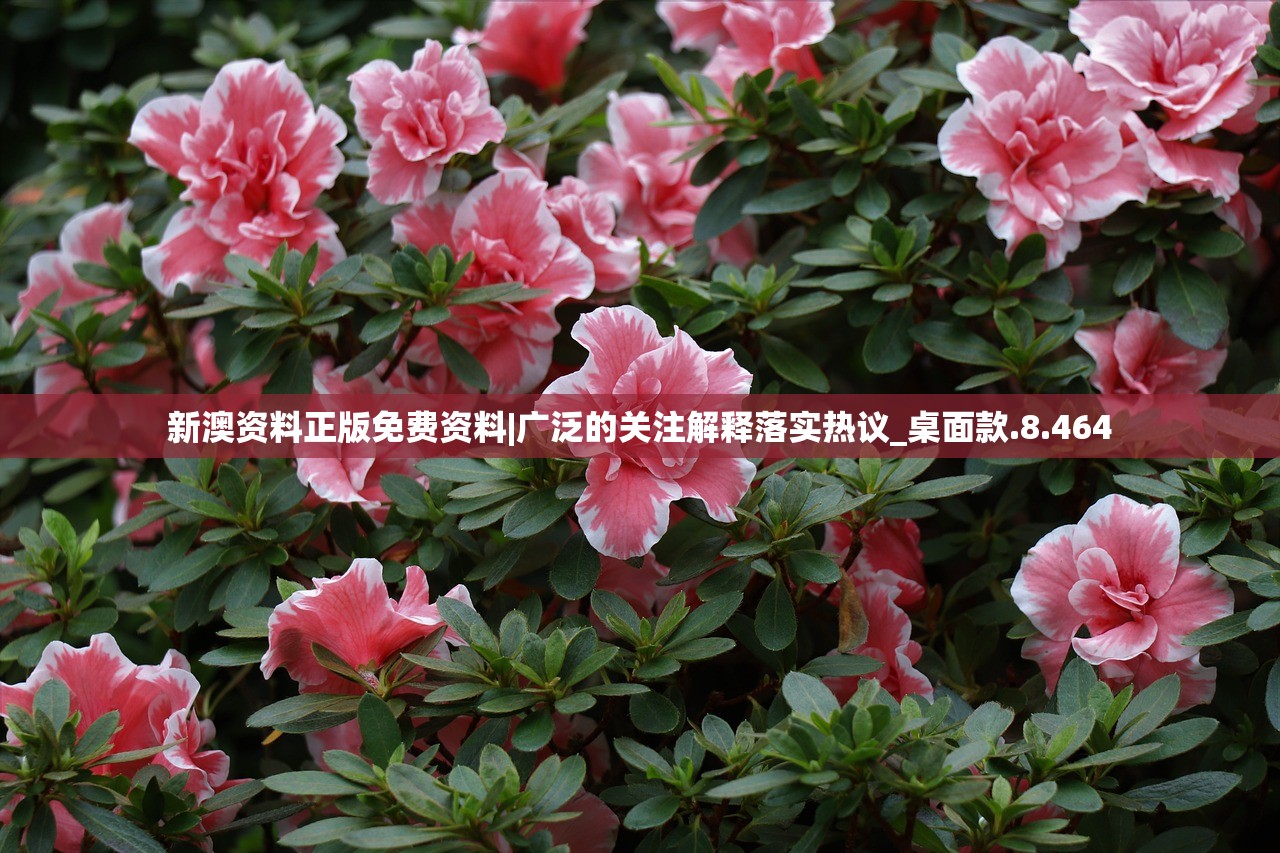 澳门大三巴公开资料|精准解答解释落实_HD集.1.363