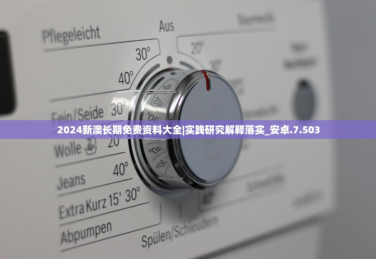 2024新澳长期免费资料大全|实践研究解释落实_安卓.7.503