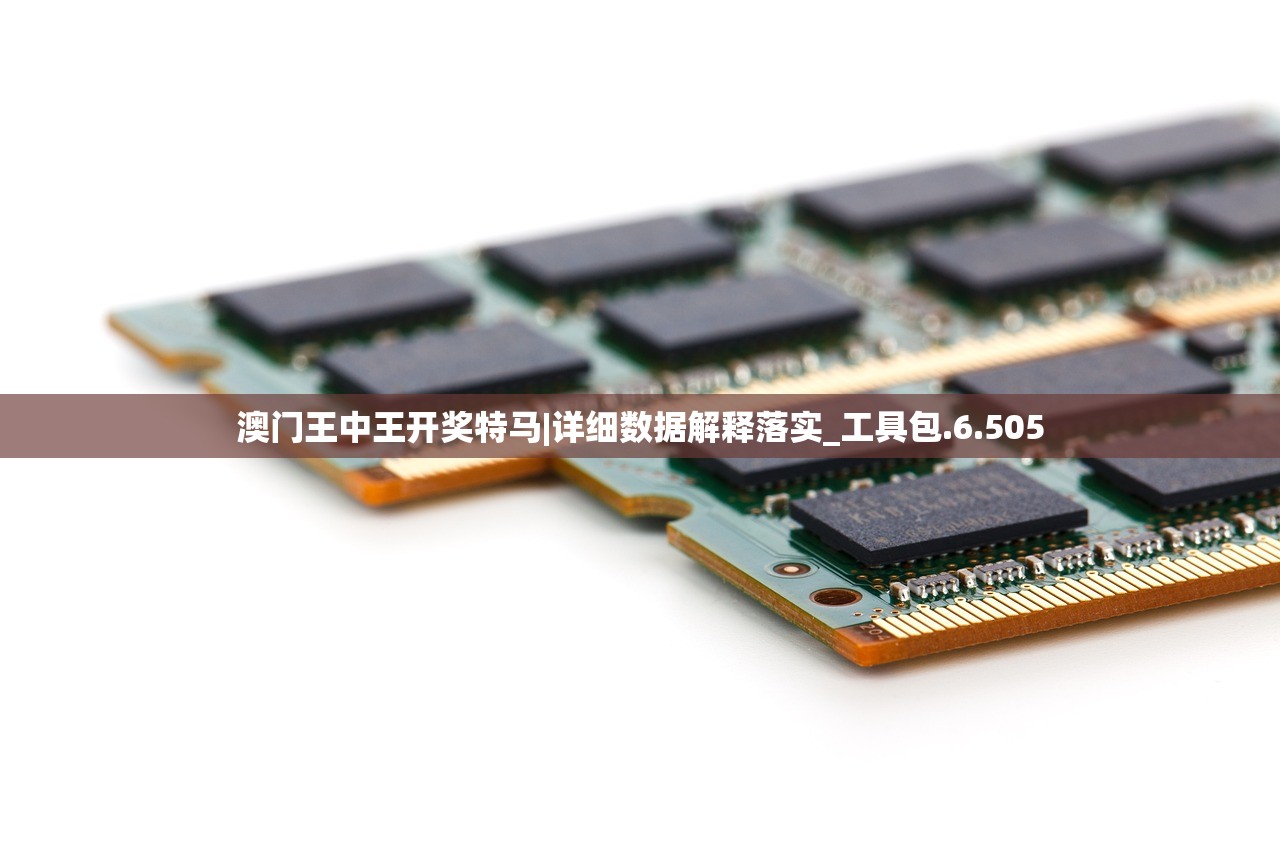 澳门王中王开奖特马|详细数据解释落实_工具包.6.505