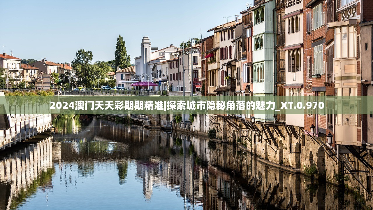 新奥天天彩正版免费全年资料|实践分析解释落实_扩展版.2.849