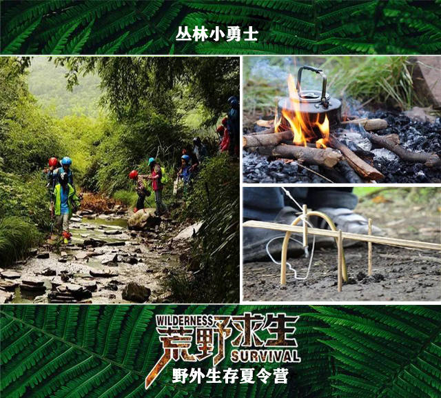 森林生存无广吿免费下载-森林生存免广告下载v.6.16
